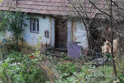 Teren de 11650 mp, în Valea Borcutului - 5