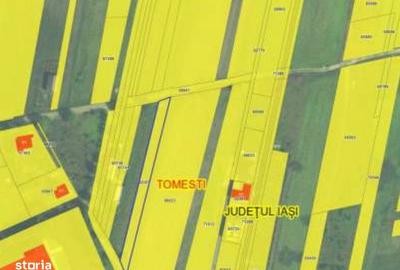 Teren de 1000 mp, în Tomești - 3