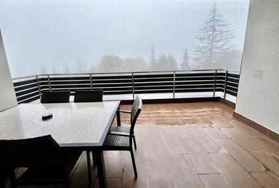 Proprietate exclusivista 4 camere Silver Mountain - 22