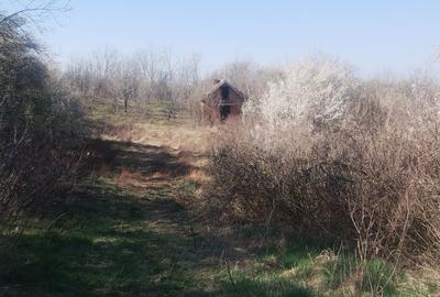 Spațiu comercial, în Dumbrăvița - 2