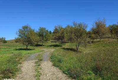 Spațiu comercial, în Luncoiu de Sus - 10