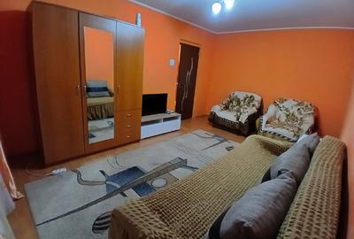 Garsoniera Brancoveanu Budimex - 2