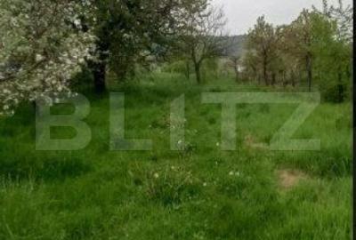 Casă cu 2 camere cu Teren 2315 Mp în Central - 3
