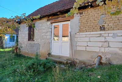 Casă în Uileacu de Beiuș - 2