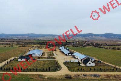 Ferma complet echipată de 22 de hectare de vânzare în Zoltan! - 3