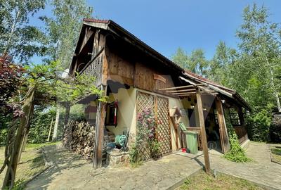 Cabana rustica de vis pe Valea Avrigului – un colt de rai in mijlocul naturii - 7