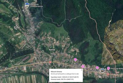 🌲 Teren 3600 mp langa Piatra Neamț, la asfalt 🌲 Teren 3600 mp langa Piatra Neamț, la asfalt - 7