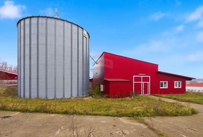 Teren Construcții intravilan de 43708 mp, în Scobâlțeni - 11