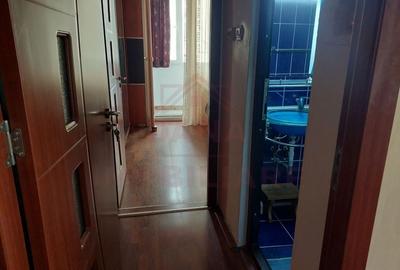 APARTAMENT LA CHEIE,2CAMERE Oțelu-Roșu,Jud.Caraș-Severin - 8