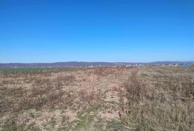 Spațiu comercial, în Oșorhei