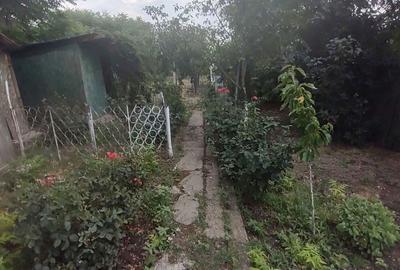 Casă cu 3 camere în Amara - 1