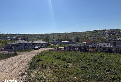 Teren de 850 mp, în Paleu - 4