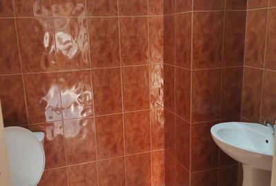 Spațiu comercial, de 260 mp, în Roman - 4