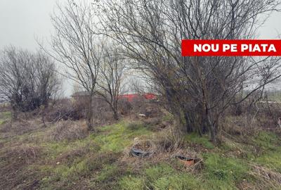 Teren de 533 mp - 10 min de Pitesti-Albota Arges! - 1