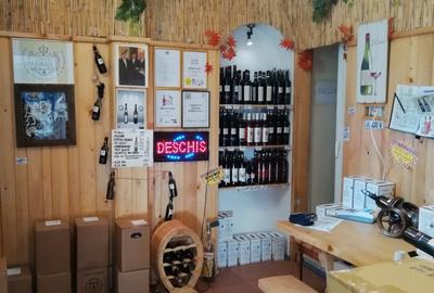 Clădire Istorică Elegantă - Interbelică cu Potențial Comercial - 27