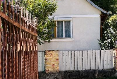 Casă individuală cu 2 camere cu Teren 719 Mp în Dognecea - 6