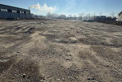 Spațiu comercial, în Ruși-Ciutea - 9