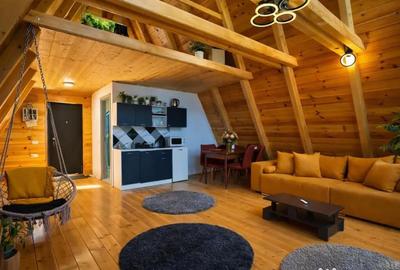 Casă cu 9 camere cu Teren 4000 Mp în Moieciu - 7