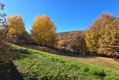 Teren de 1850 mp, în Cisnădioara - 2