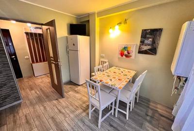 Apartament cu 2 camere decomandat, mobilat în Brătianu - 10