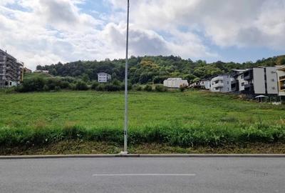 Teren Construcții intravilan de 4737 mp, în Florești - 4
