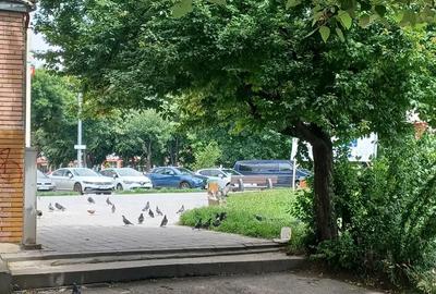 Ap cu 3 cam 2 bai 84mp decomandat zona la 1 min de penny orizont - 2