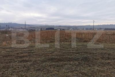 Teren de 5900 mp, în Pătrăuți - 3