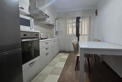 Inchiriere Apartament cu 2 camere Decomandat Nicolina Strada Pepinierii - 4