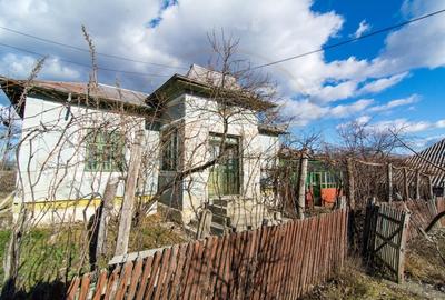 Casa traditionala argeseana cu teren generos - comuna Vedea, jud. Arges - 4