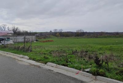 Teren de 750 mp, în Mischii - 2