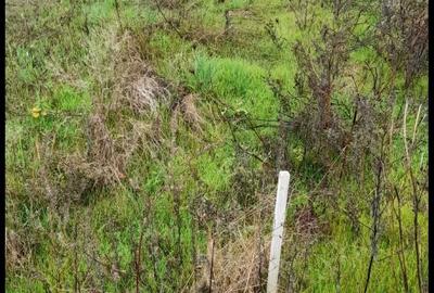 Spațiu comercial, în Central