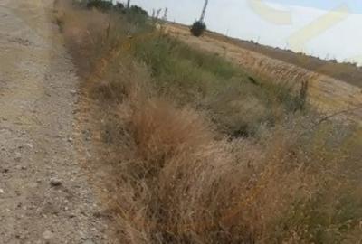 Teren de 3067 mp, în Bradu