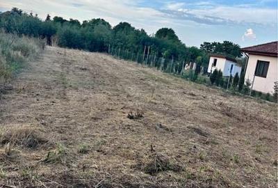 Teren de 892 mp, în Călacea - 5