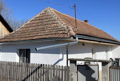 Casă cu 3 camere în Santăul Mare - 10