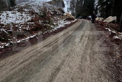 Teren unic, exclusivist  4000 mp, in inima muntilor, Sinaia - 12