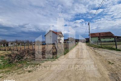 Spațiu comercial, în Ighiu - 6