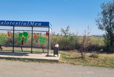 Teren intravilan Balotesti, Complex Good Afternoong - 6