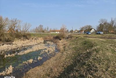 Teren de 30600 mp, în Sacoșu Turcesc - 8