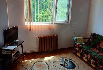 Casă cu 5 camere cu Teren 3000 Mp în Ștefănești - 8