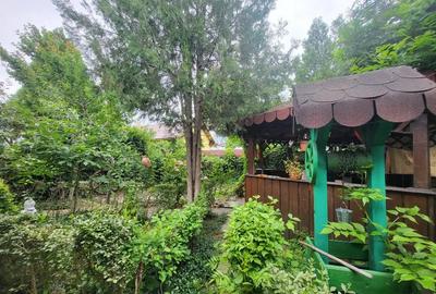 Casă cu 5 camere în Slătioara - 2