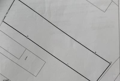 Teren Construcții intravilan de 2900 mp, în Dezmir - 6