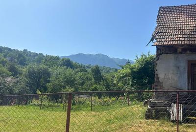 Casa din barne de lemn - Sohodol - 2