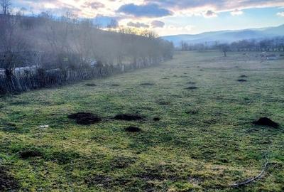 Teren 719 mp la liziera pădurii – Întorsura Buzăului | Fezabilitate demonstrată - 2