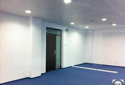 Spatiu birouri Clasa A, 873 mp, zona de interes! - 10