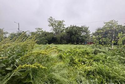 Casă cu 3 camere cu Teren 2000 Mp în Produlești - 5