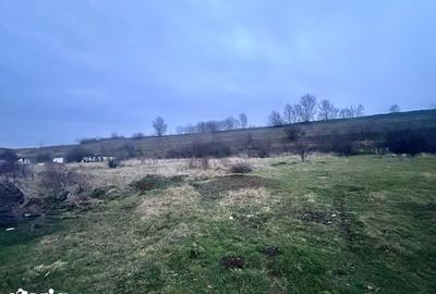 Teren de 2141 mp, în Vest - 4