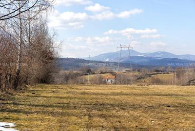 Teren Construcții intravilan de 5967 mp, în Bran - 7