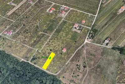 Teren de 914 mp, în Dumbrăvița