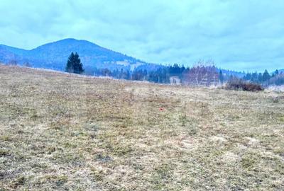 Teren de 2500 mp, în Colibița - 7