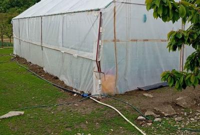 Casă cu 3 camere în Catanele - 5